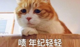 以后别客气 吃瓜,网络热语的流行与社交风向标