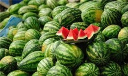 吃黄河蜜瓜多久排尿,揭秘食用时间与身体反应