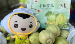 吃瓜吃出甜热热,揭秘“吃瓜”背后的甜蜜诱惑