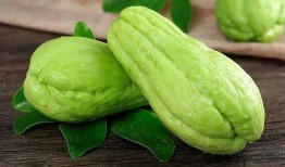 吃瓜熊海龙,揭秘网络红人的崛起之路