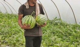 吃瓜群众集锦图片,趣味横生的社会百态缩影