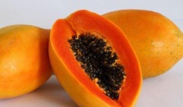 吃瓜胃胀气,揭秘夏日消暑美食背后的健康隐患