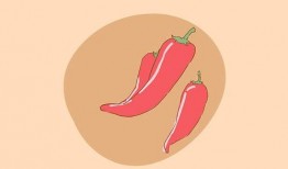 怀孕可以吃兔儿瓜吗,兔儿瓜的适宜与禁忌