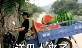 近日吃瓜文案短句,近期热门吃瓜文案大盘点