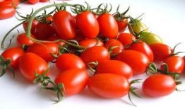 吃瓜达人宝娟,吃瓜达人的瓜田奇遇记