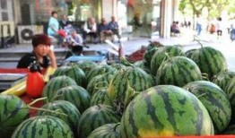 亳州吃瓜,吃瓜也能吃出文化味