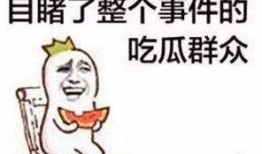 格力电器吃瓜群众,吃瓜群众眼中的行业巨头风云录