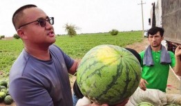 吃瓜左江,一场关于美食与文化的盛宴