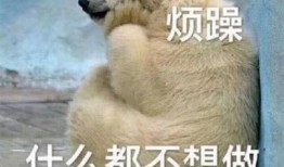 吃瓜群众牌子图片,揭秘“吃瓜群众”牌子的背后故事