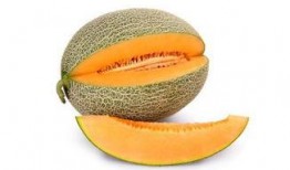 青鱼吃哈密瓜好吗怎么吃,探索健康美味的食用新法