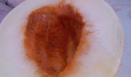 突然吃伊丽莎白瓜过敏,伊丽莎白瓜引发的意外遭遇