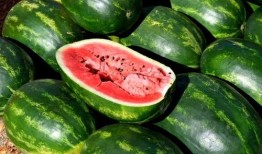 村民吃瓜素材,揭秘乡村生活百态