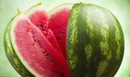 阴阳打更人吃瓜,揭秘神秘世界的日常奇遇