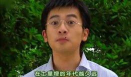 吃瓜定情,一场意外的甜蜜邂逅