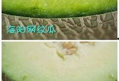 吃蜜瓜的最佳时间,揭秘吃蜜瓜的最佳时光