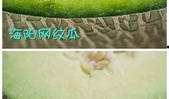 吃蜜瓜的最佳时间,揭秘吃蜜瓜的最佳时光