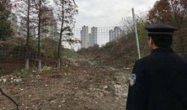 路羽吃瓜事件,揭秘娱乐圈背后的真相与争议