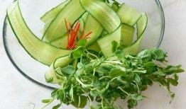 顶瓜花怎么吃,探索美味烹饪新方式