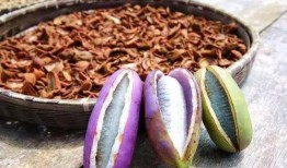 瓜婆娘吃八月瓜,一场味蕾与自然的邂逅