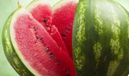 吃瓜群周丽珊,揭秘网络热议背后的故事