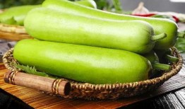 日常吃的瓜,探寻日常生活中的甜蜜滋味