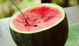 朝阳花园吃瓜,一场吃瓜盛宴背后的故事