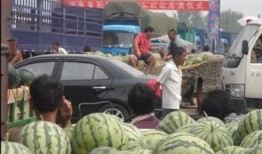 山东潍坊奎文区吃瓜事件,一场引发热议的社区冲突