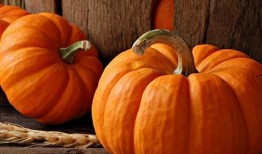 圆形黄色瓜怎么吃,圆形黄色瓜的多样食用指南