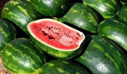 大西瓜吃瓜图片大全,夏日消暑必备美食瞬间
