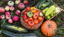 广南吃瓜,一场舌尖上的夏日盛宴