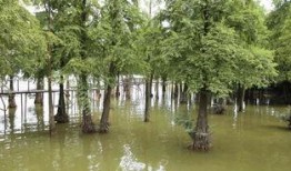 吃瓜视频大峡谷,吃瓜视频中的自然奇观之旅