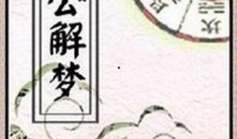 周公解梦偷瓜吃,偷瓜吃背后的寓意与启示