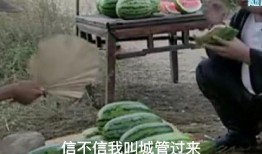 吃瓜苍爹,网络红人背后的故事与影响