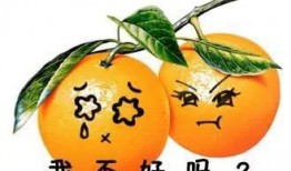 默默吃瓜深度解析,深度解析网络舆论背后的真相与影响