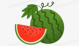 大西瓜吃瓜图片大全,夏日消暑必备美食瞬间