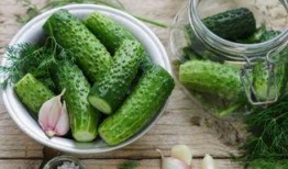 吃瓜胃胀气,揭秘夏日消暑美食背后的健康隐患