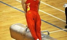 张宏涛 体操吃瓜,揭秘体操界背后的故事与争议