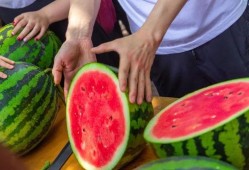 免费吃瓜,揭秘娱乐圈幕后故事