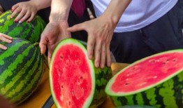 免费吃瓜,揭秘娱乐圈幕后故事