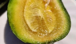 云局吃瓜,揭秘吃瓜群众的网络狂欢