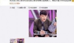 吃瓜群众潘玮柏,吃瓜群众眼中的音乐才子