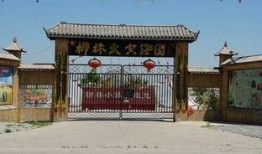 河南建院吃瓜视频,揭秘校园生活趣味瞬间