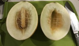 今日有瓜吃吗,揭秘“有瓜吃吗”背后的故事与真相