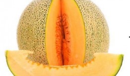 喉咙发炎可以吃哈密瓜,天然润喉佳品