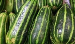 今日有瓜吃吗,揭秘“有瓜吃吗”背后的故事与真相