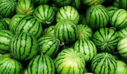 吃瓜群怎么加入