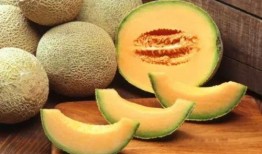 哈密瓜能和核桃一起吃吗,健康美味两不误