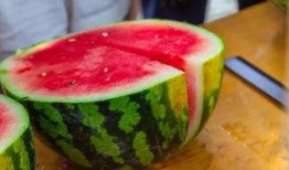 滨海学院吃瓜,揭秘校园热点背后的真相