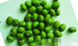 绿豆吃瓜,绿豆与瓜果的夏日养生搭配