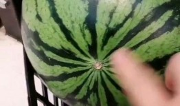 相逢时节吃瓜,一场别开生面的夏日盛宴